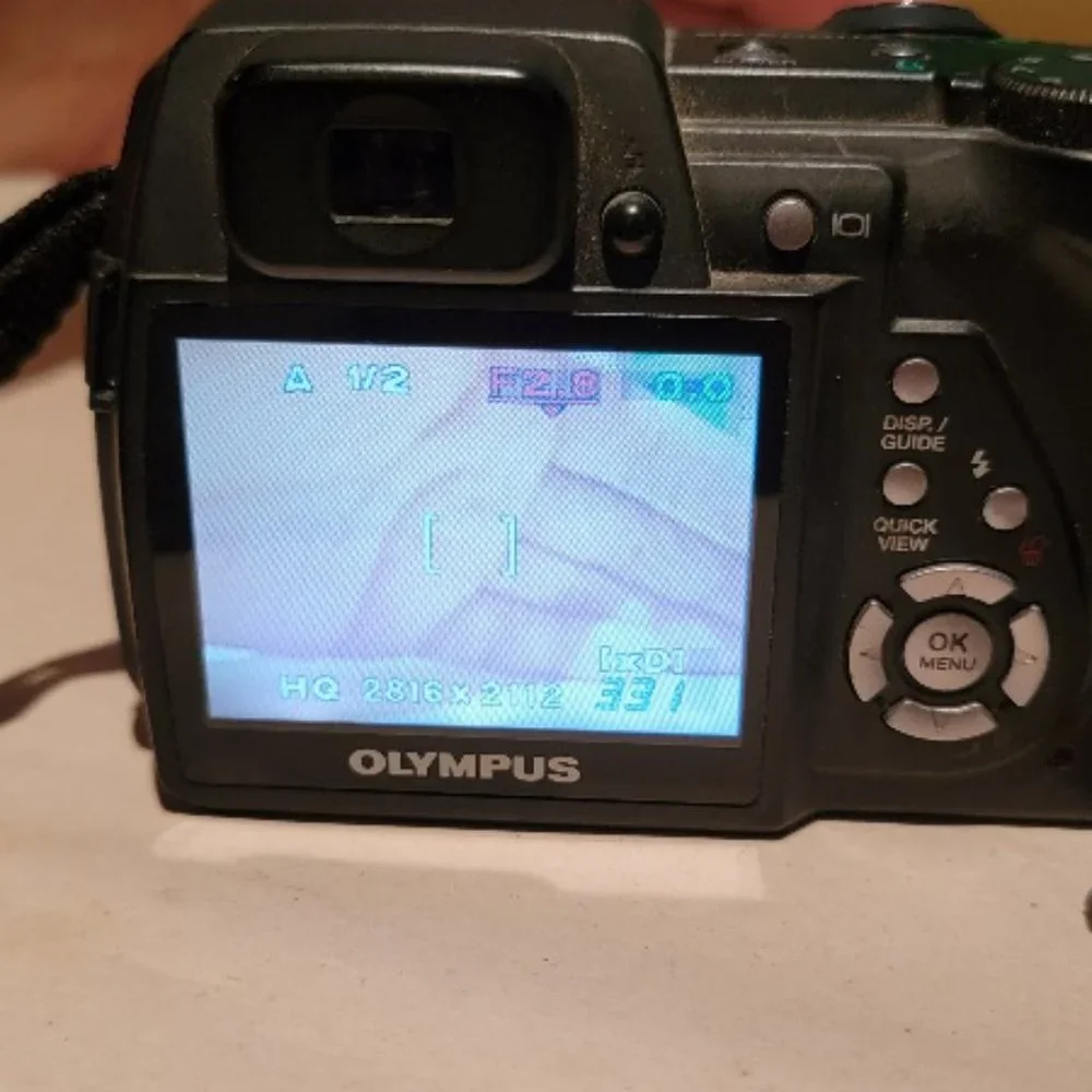 Nikon COOLPIX L820 Digital Camera